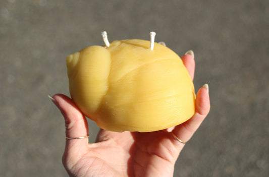 Beeswax Moon Snail Candle